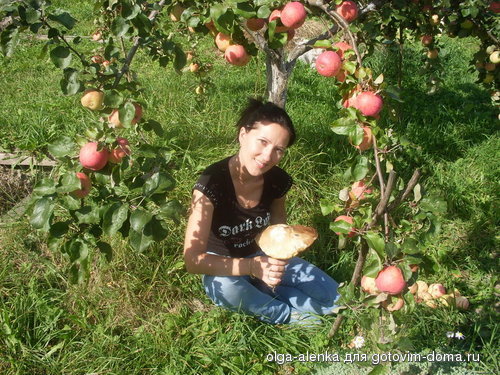 SDC11685.........jpg