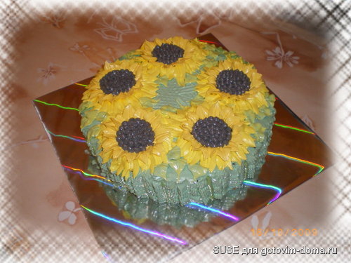 IMGP2887.JPG