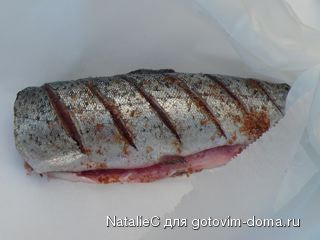 P1290861.jpg