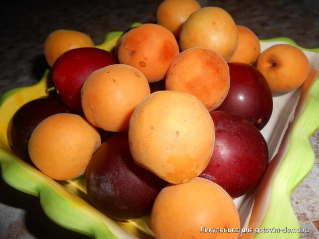 DSCN1585.JPG