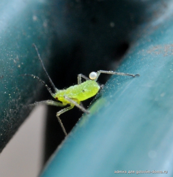 DSC_0480 k.jpg