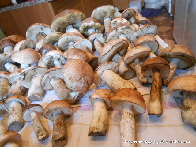 DSCN2168.jpg