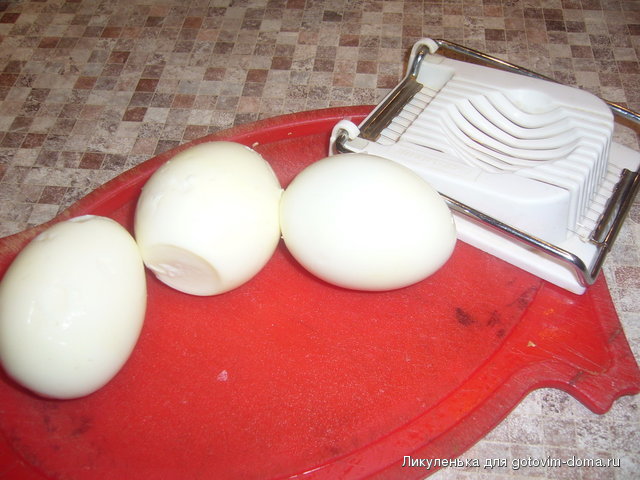 P1060410.jpg
