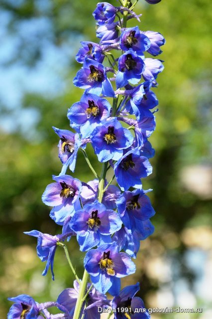 DSC_0051.JPG