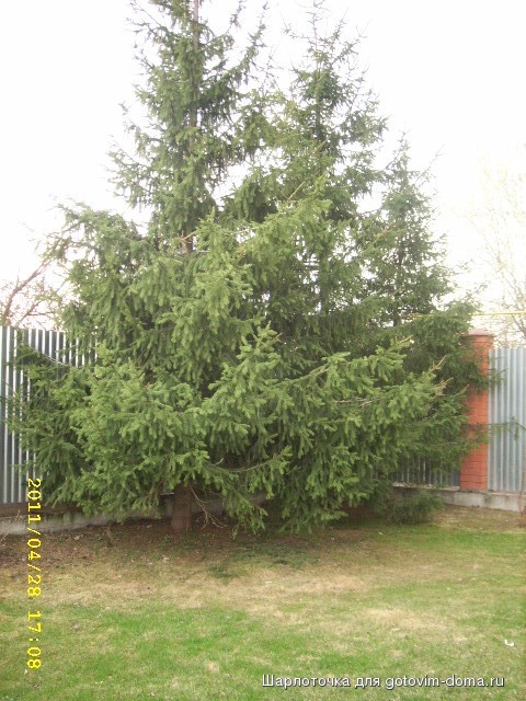 SPA59190.JPG