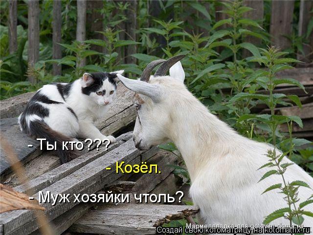 798064.jpg