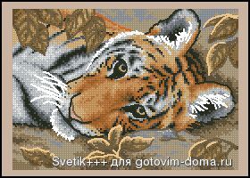Dimensions-BeguilingTiger.jpg