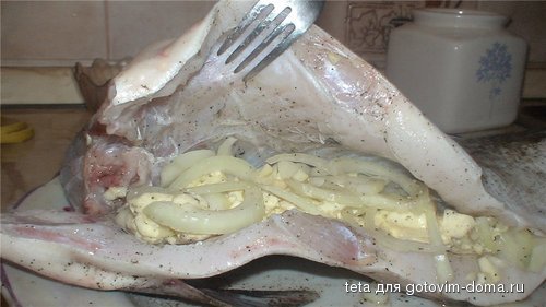 563cf22a443d.jpg