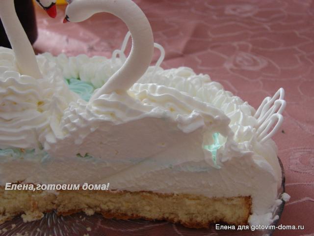 DSC00559.JPG