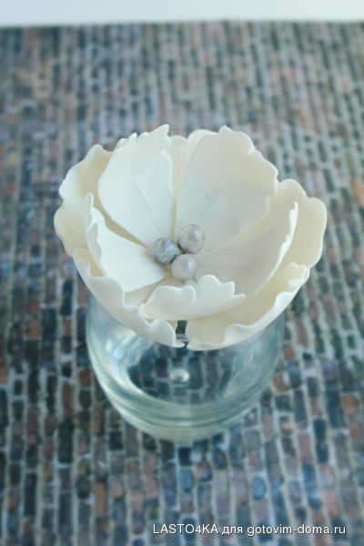 editor_1442716884_fKcdUiwMV.jpg