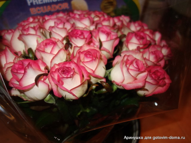 DSC00288a.jpg