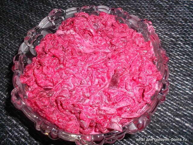 DSCN6584.JPG