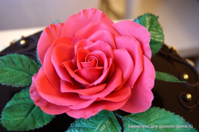 DSC02213.JPG