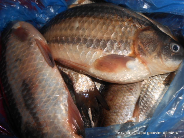 DSCN5614.JPG