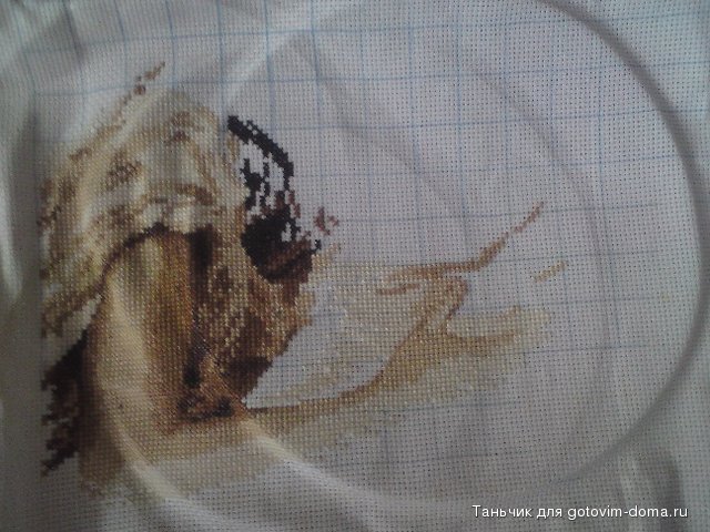 DSC00230.jpg
