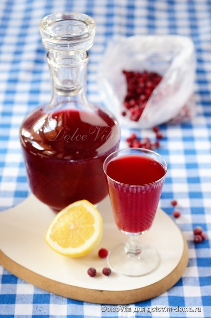 kompot dv.jpg