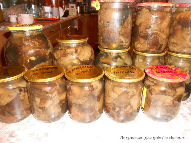 DSCN3294.jpg