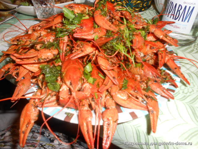 DSCN7905.JPG