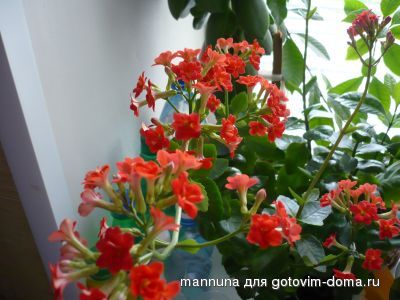 P1010272 1.jpg