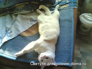 15082008(001).jpg