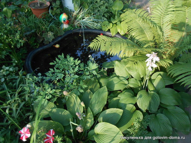 DSCN1600.JPG