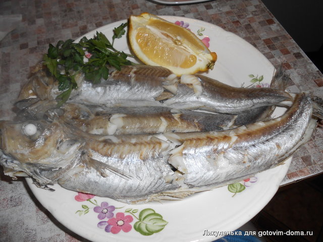 DSCN0061.jpg