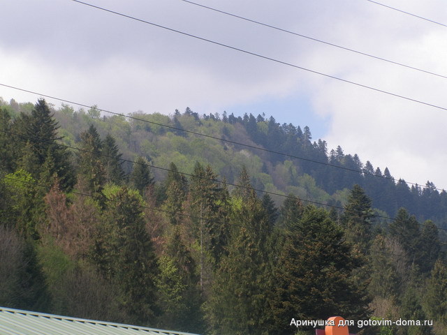 P5010067.jpg