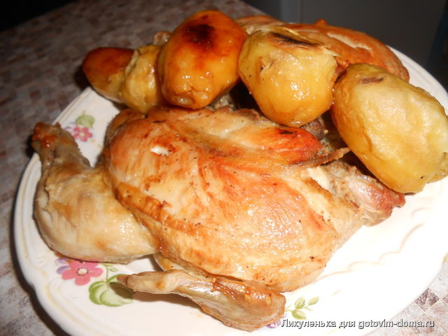DSCN2618.jpg