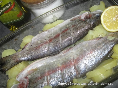 forel 001.JPG