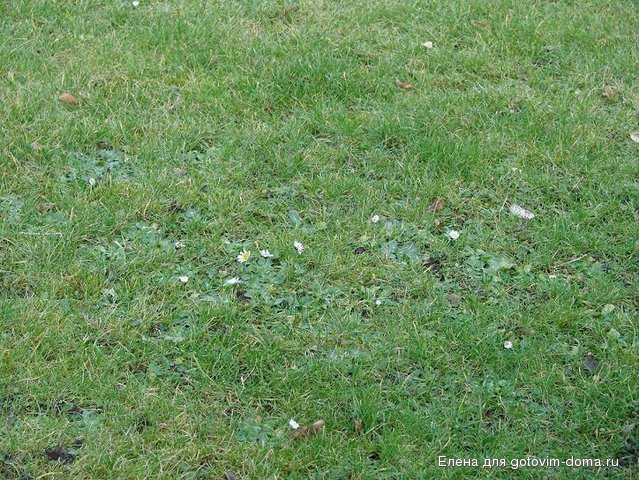 DSC00024.JPG