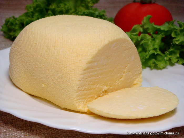 Сварить домашний сыр из творога и молока. Адыгейский козий сыр. Домашний адыгейский сыр. Сыр адыгейский в домашних. Домашний сыр из молока.
