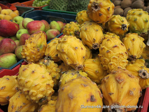 Pitayas-Dragon-Fruit.jpg