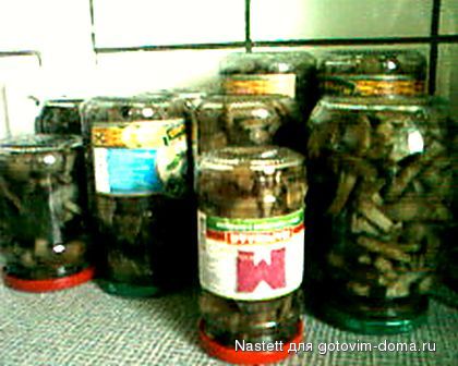 IMG0223A.jpg