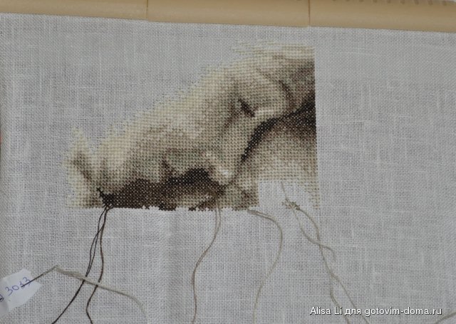 DSC_0394.JPG