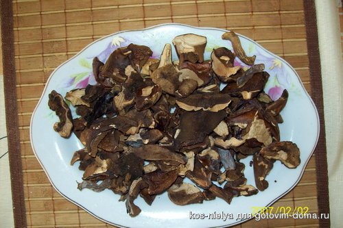 100_2387.jpg cc.jpg