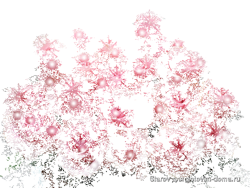 1255771494_13-flowers_03.gif