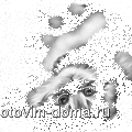 катя.gif