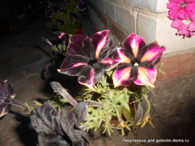 DSCN1202.JPG