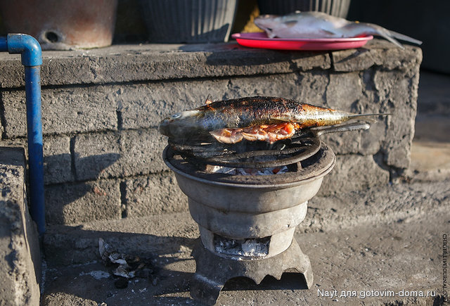 IMG_7875.jpg