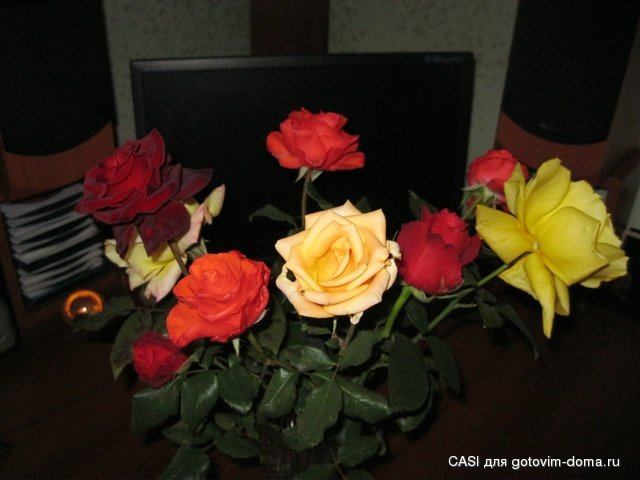 IMG_4568.JPG