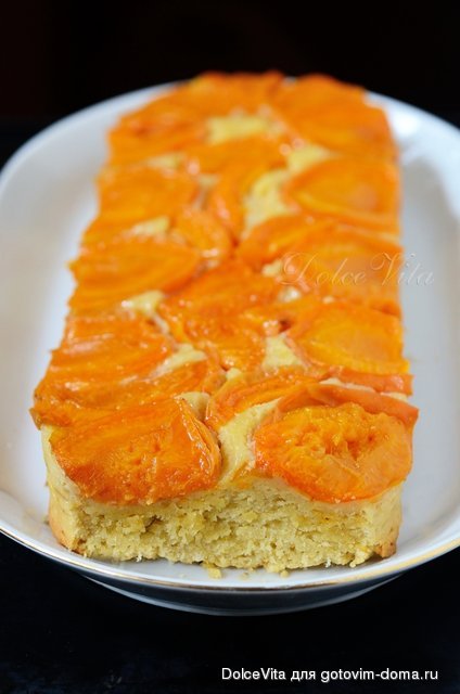 pirog dv.jpg