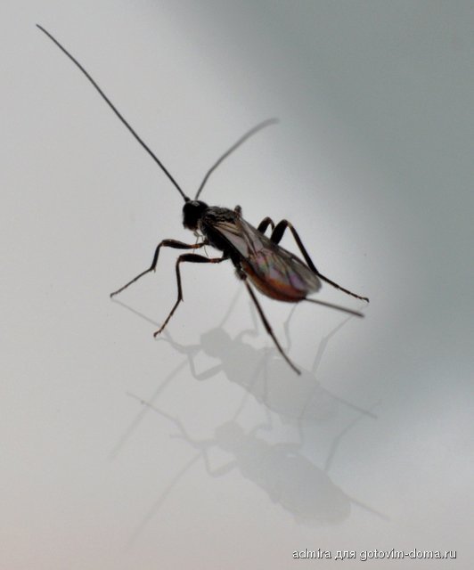 DSC_0126 k.jpg