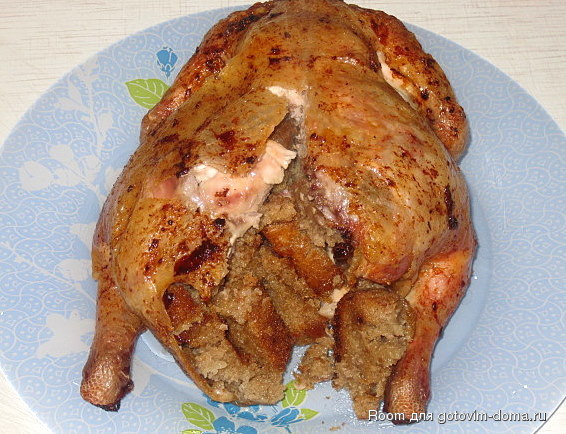 154.jpg