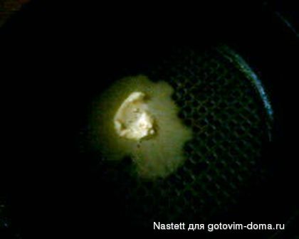 IMG0233A.jpg
