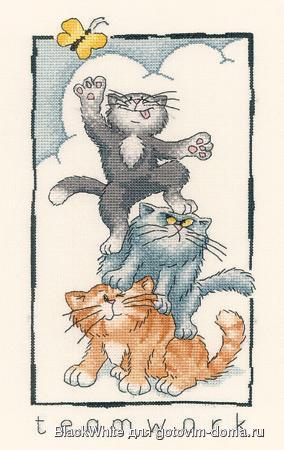 Heritage Peter Underhill (Cats Rule) CRTW896 - Teamwork.jpg