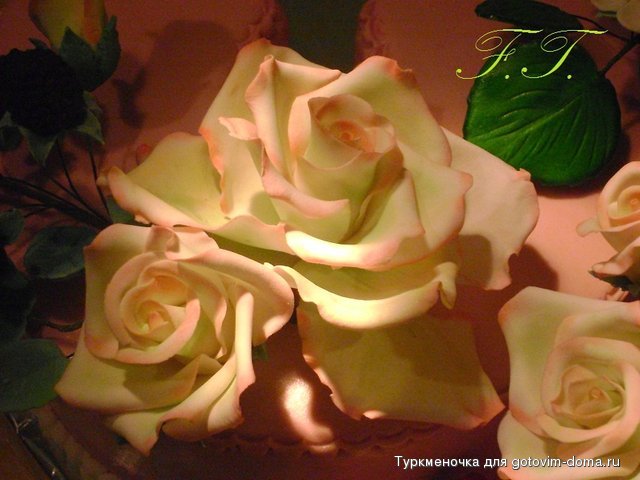 DSC02543.JPG