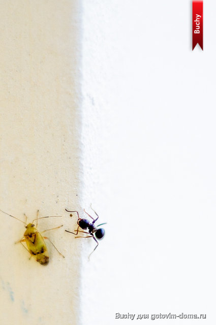untitled_12.07.13_341.jpg