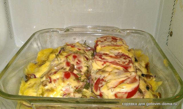 IMAG0523.jpg