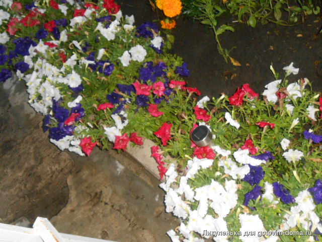 DSCN1192.JPG