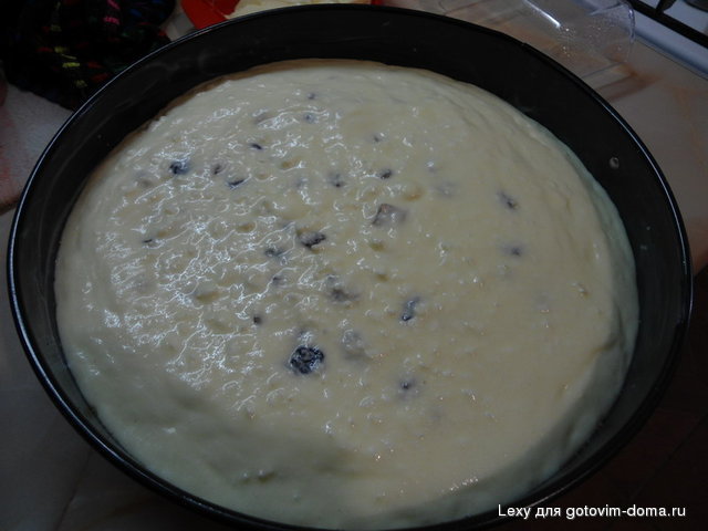 DSC00314.jpg